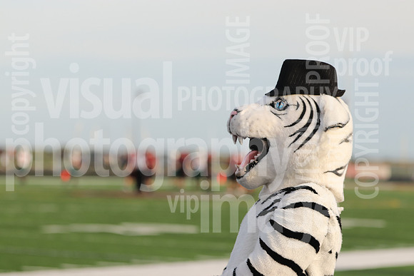 PLPN19_FB_010
