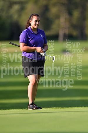 sps_0084_0974207
