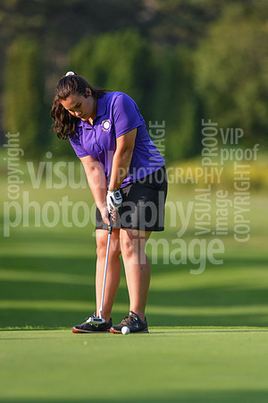 sps_0085_0974204