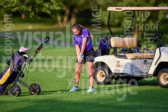 sps_0093_0974214