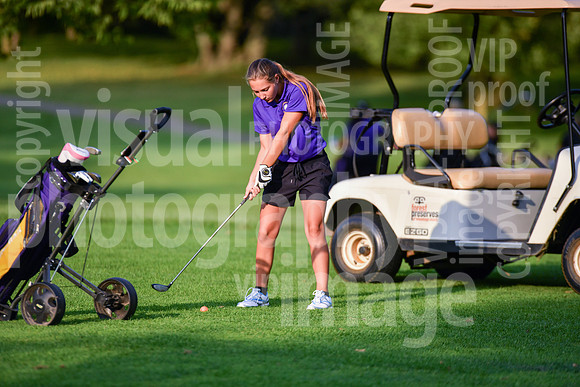 sps_0094_0974215