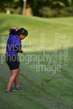 sps_0098_0974217