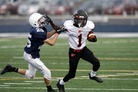 sps_0017_0977360