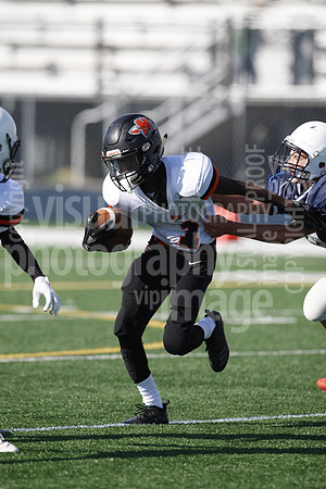 sps_0087_0977431