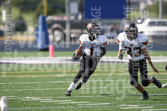 sps_0095_0977439