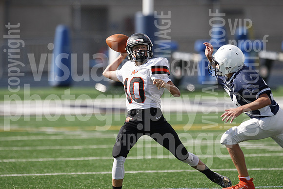 sps_0099_0977442