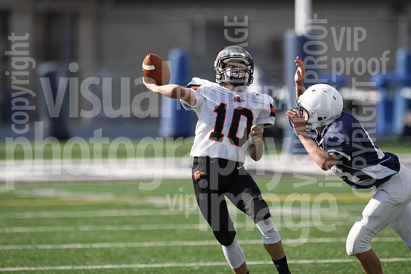sps_0100_0977443