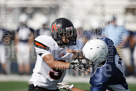 sps_0102_0977445