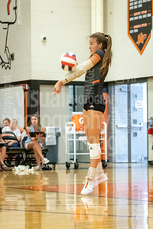 sps_0095_1021217