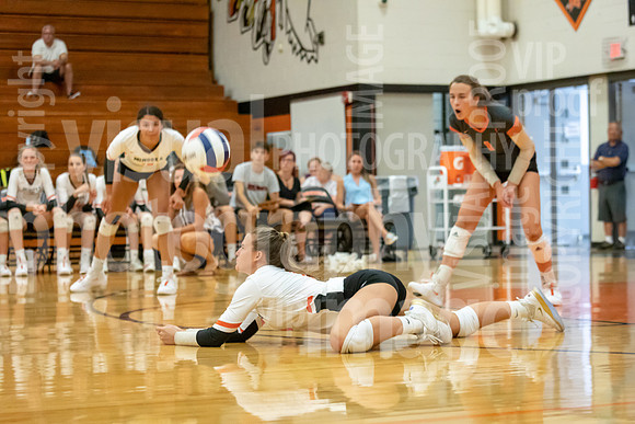 sps_0099_1021222