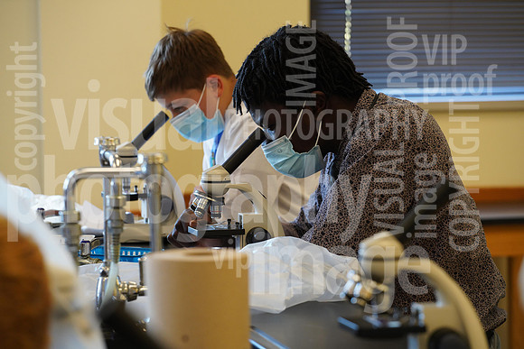 sps_0001_1007716380