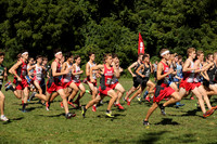 sps_9356_1055016