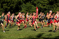 sps_9357_1055017