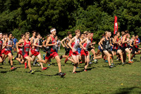 sps_9353_1055008