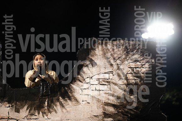 sps_0185_1151577