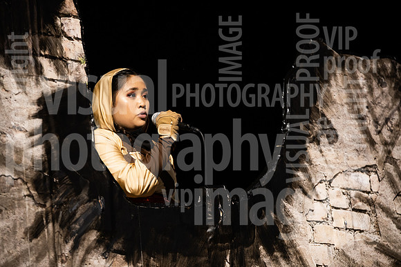 sps_0185_1151578