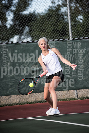sps_0048_1197802