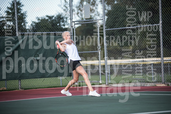 sps_0050_1197806