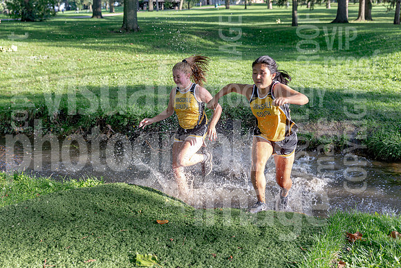 sps_0027_1199810