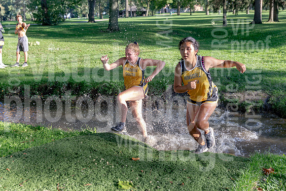 sps_0028_1198424