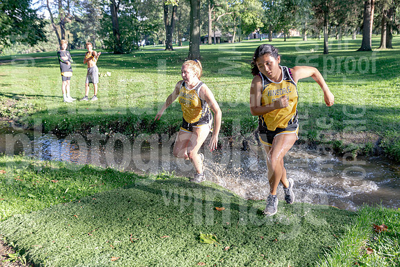 sps_0029_1198335
