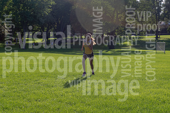 sps_0033_1199806
