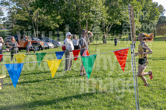 sps_0041_1199410