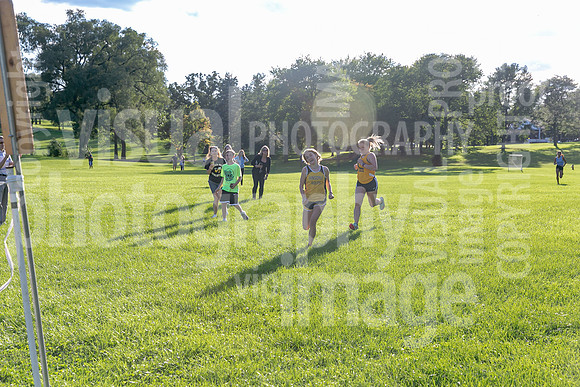 sps_0044_1199214