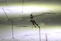 sps_0020_1008223212