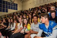sps_0019_1157530