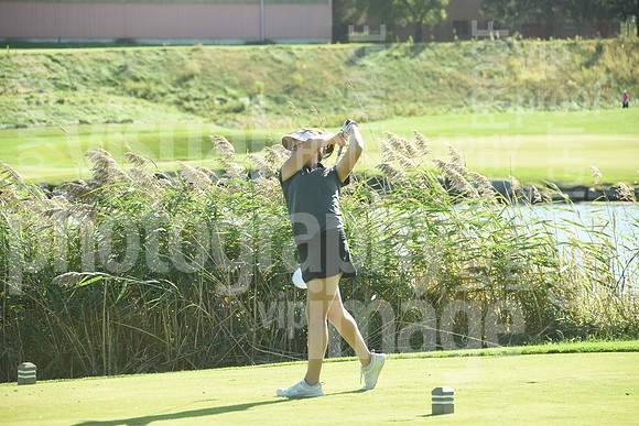 sps_6101_1236919