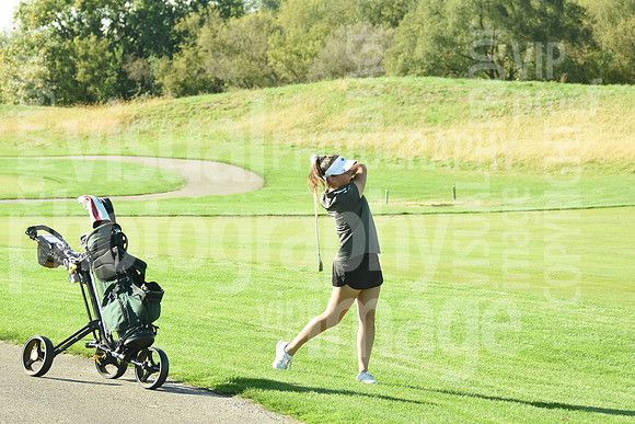 sps_6119_1236938