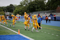 sps_0003_1245849