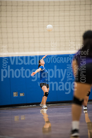 sps_0081_1336533