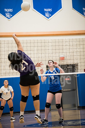 sps_0083_1336537