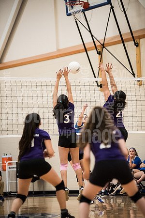 sps_0085_1336535