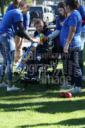 sps_0039_1236987
