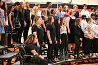 sps_0084_1384098