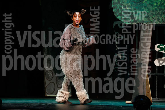 sps_0028_1007884604