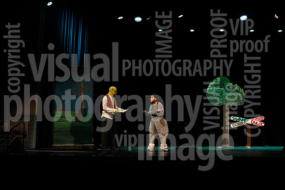 sps_0032_1007884611