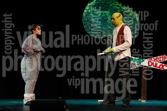 sps_0033_1007884612