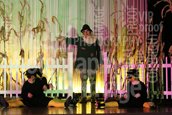 sps_0129_1557347