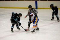 sps_0022_1604197