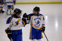 Hockey Varsity Girls 11-17
