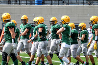 sps_0005_1010625271