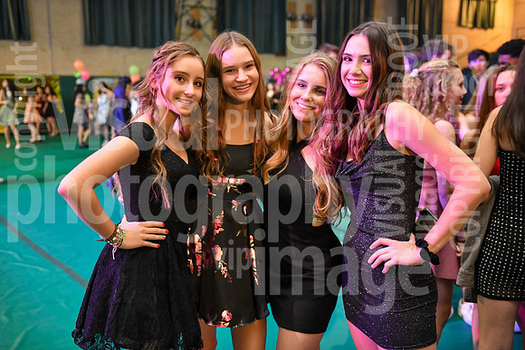 sps_0048_1595153