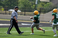 sps_0007_1010625272