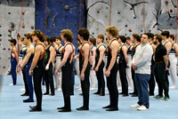 Boys Varsity Gymnastics