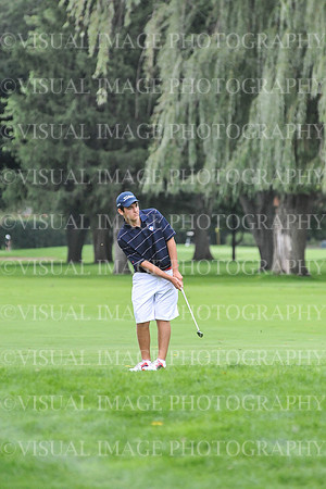 SVHS_012