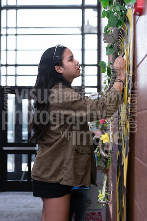 sps_0011_1714938